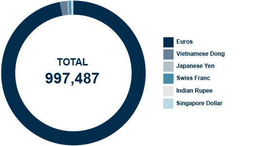 ripartizione_per_valuta_ENG