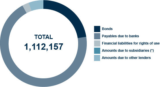 Natura del debito eng
